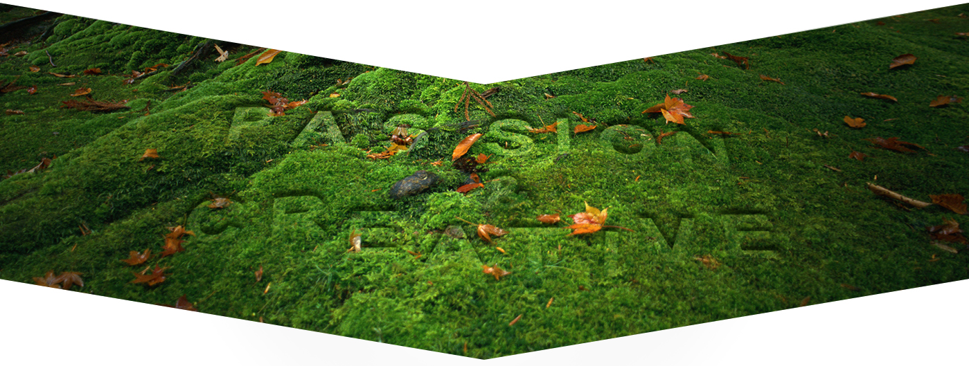 ワイズアンドパートナーズ　About Us