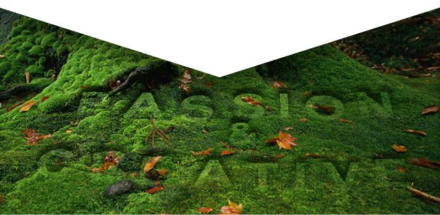 ワイズアンドパートナーズ　About Us